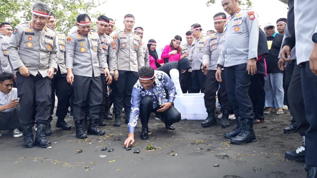 Pertamina Patra Niaga Regional Papua -Maluku Peduli Alam,Lepas Tukik di Pantai Kastela