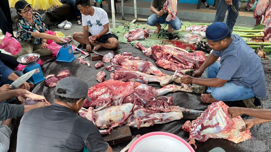 Rayakan Idul Adha 2024, Pertamina Patra Niaga Regional Papua Maluku Salurkan 128 Hewan Kurban untuk Masyarakat