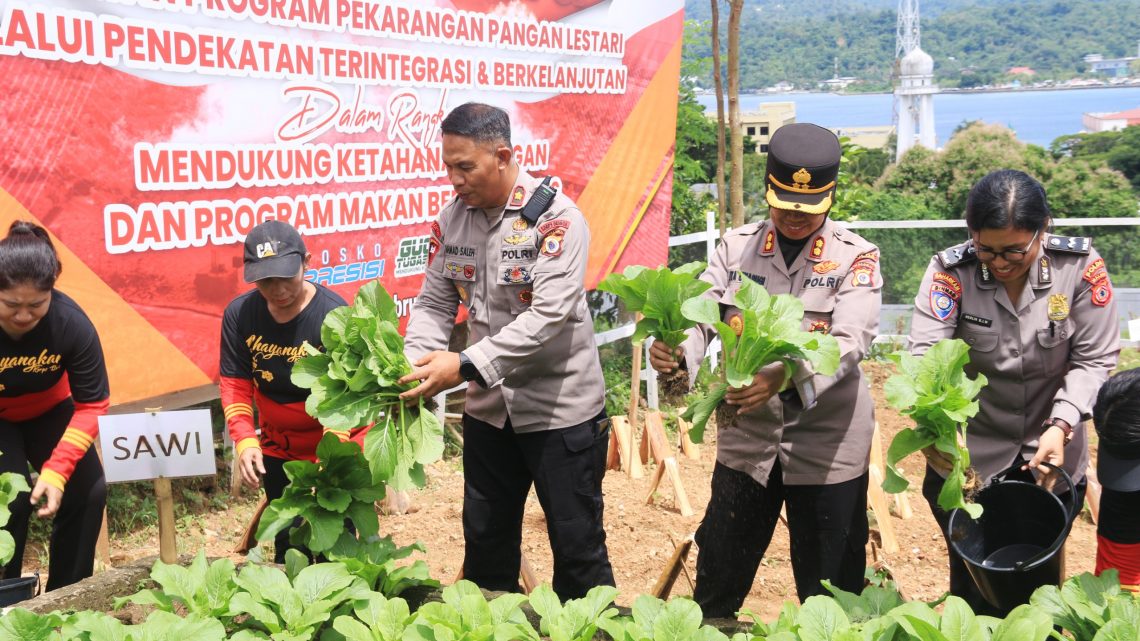 Polda Maluku Panen Sayur Perdana di Pekarangan Pangan Lestari Upua
