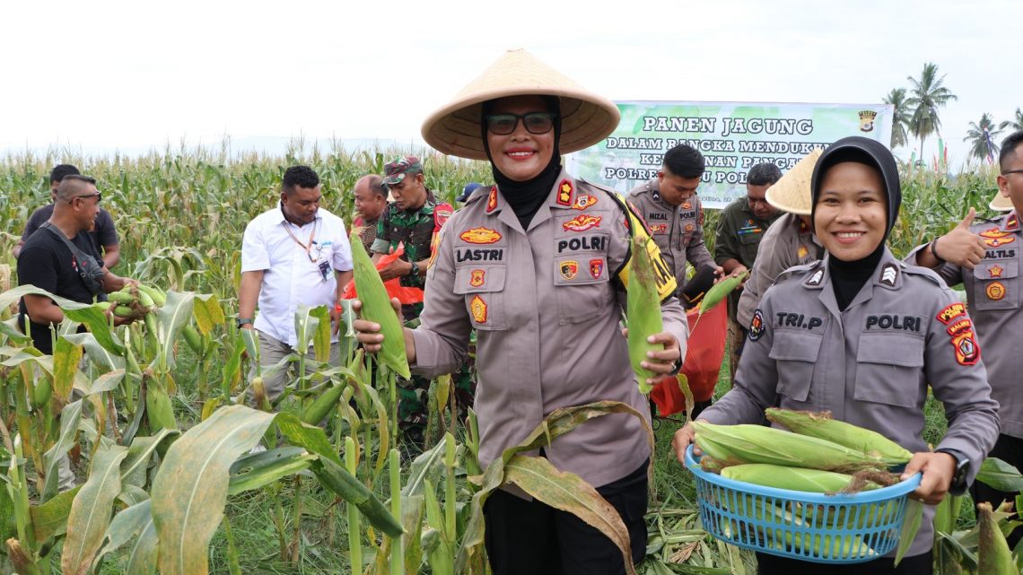 Kapolres Buru Panen Jagung di Desa Waitina