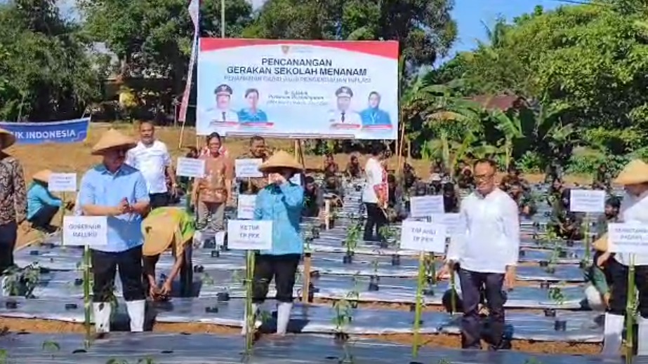 Gubernur Maluku Tanam Cabai Saat Kunjungan ke SMK Pertanian Pembangunan
