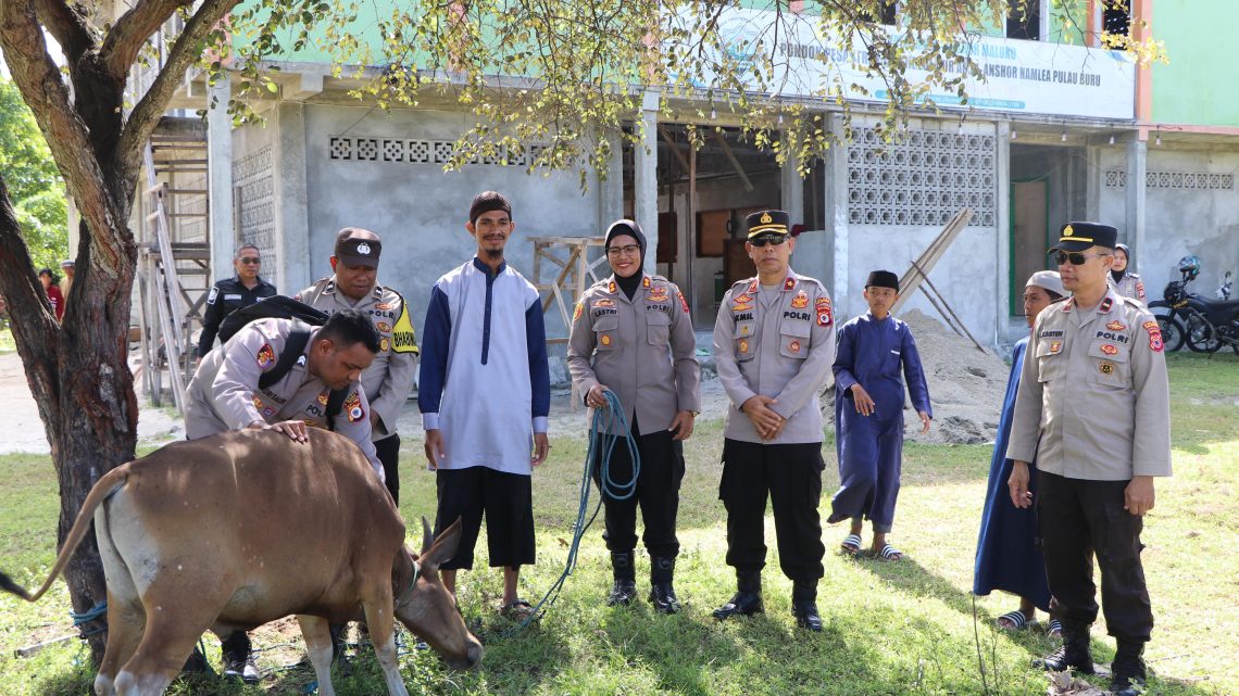 Idul Adha, Polres Buru Sembelih 5 Ekor Sapi, 3 Ekor Kambing