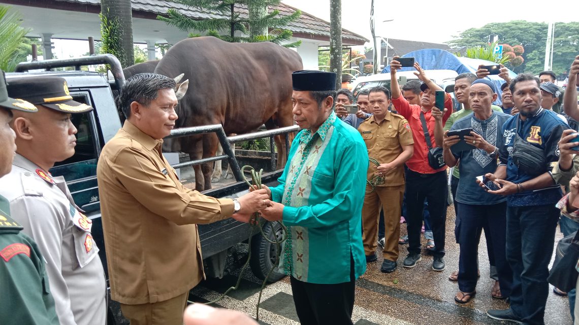 Pemkot Ambon Salurkan 115 Ekor Hewan Kurban Kepada Masyarakat 