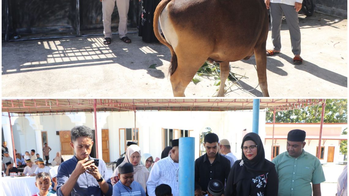 Usai Sholat Idul Adha, Kapolres Buru Sumbang 9 Ekor Sapi
