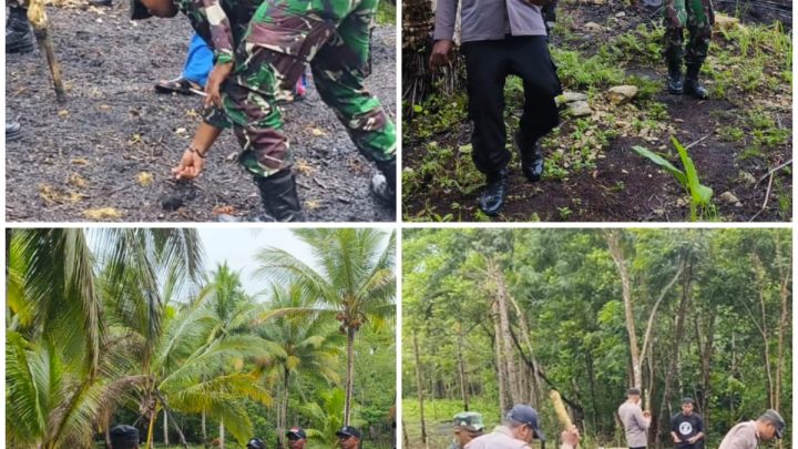 Sinergi Polri-TNI-Pemda, Tanam Jagung Pipil 3,30 Hektar 