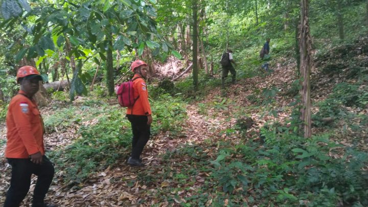 Ditemukan Selamat, Basarnas Resmi Tutup Operasi Orang Hilang 