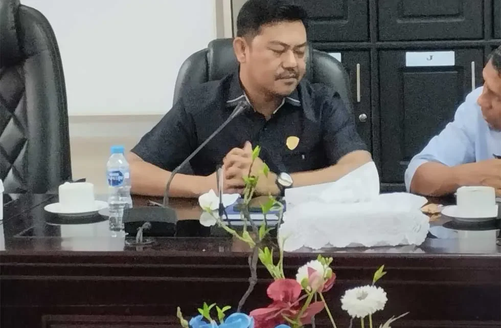 Lohi Soroti Tegas PAD Maluku Yang Tidak Pernah Capai Target 