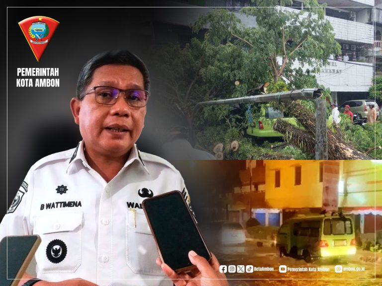 Walikota Instruksikan Lakukan Penanganan Pasca Pohon Tumbang