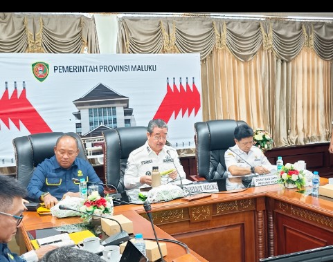 Bahas Penataan Pertambangan, Lewerissa dan Dirjen Gakkum ESDM Perkuat Koordinasi Pusat-Daerah