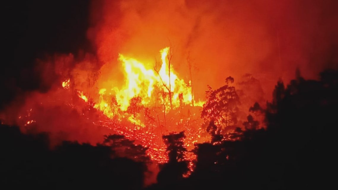 Hampir 20 Hektar Hutan di Ambon Terbakar