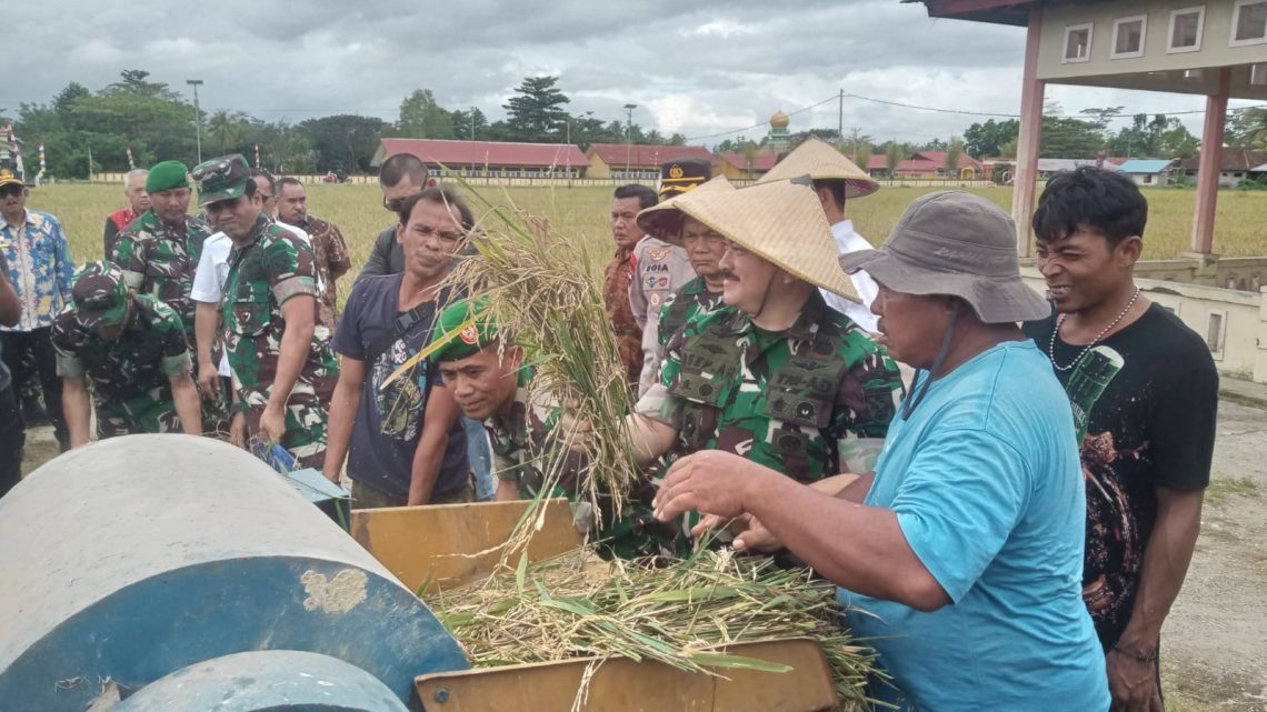 Panen Raya Padi di Buru, Kasdam : Kodam XVI/Ptm Mendukung Penuh Ketahanan Pangan di Maluku