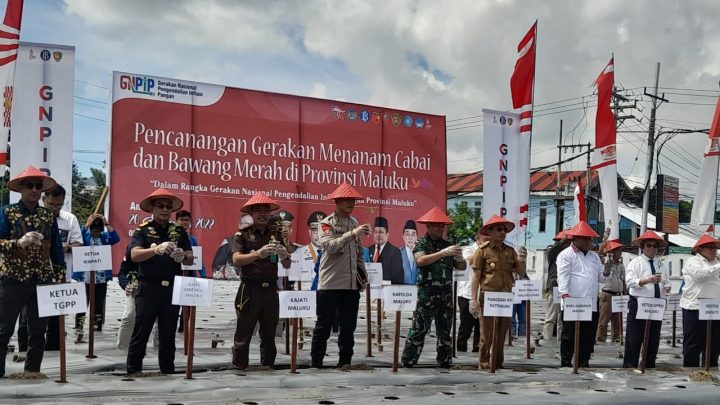 Tekan Inflasi, Pemprov Canangkan GNPIP Se-Maluku, Diapresiasi Gubernur