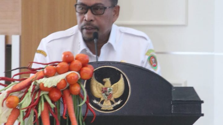 Ini Pesan Gubernur di Peringatan 51 HUT TP- PKK Maluku