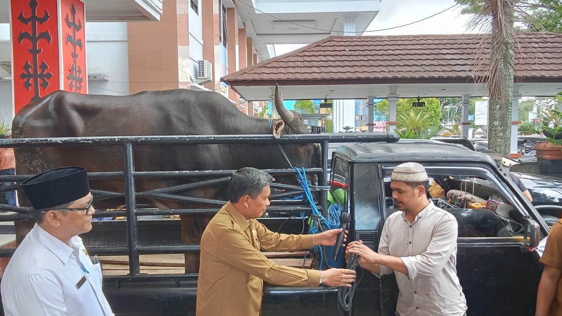 Perayaan Idul Adha 2023, Pemkot Ambon Serahkan 70 Hewan Kurban