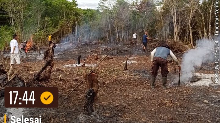 Polsek Saparua Garap Lahan Ketahanan Pangan Dukung Program Pemerintah