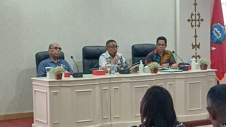 Pemkot Ambon Gelar Sosialisasi dan Workshop ETPD 2025- 2027