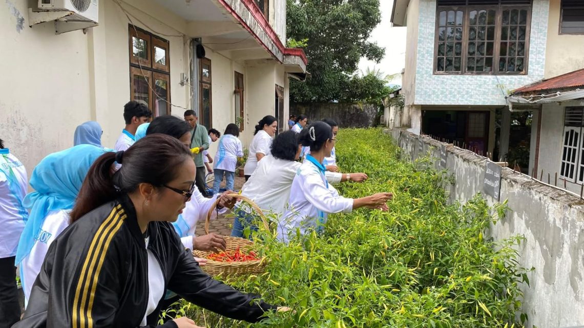 Tim Penggerak PKK (TP- PKK) Kota Ambon Gelar Panen Cabai
