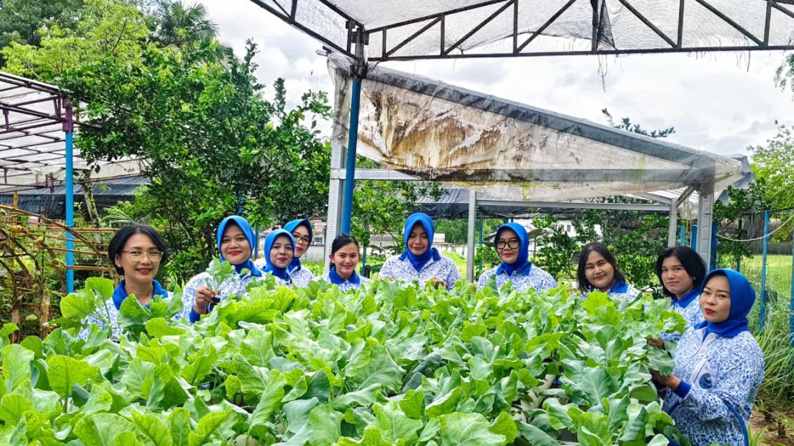 Jalasenastri Kodaeral IX Panen Sayur dan Buah, Perkuat Ketahanan Pangan