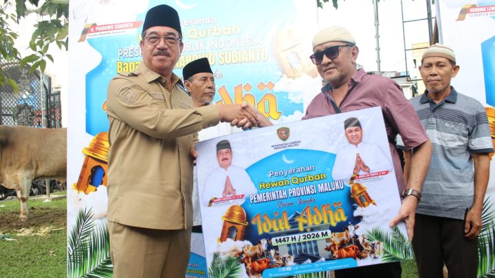 Pemprov Maluku dan Presiden RI Salurkan 143 Hewan Kurban untuk Idul Adha 2026