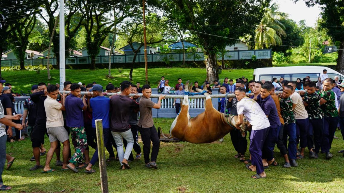 Perayaan Idul Adha 1447 H, Komandan Kodaeral lX Serahkan 15 Hewan Kurban 
