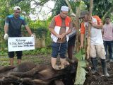 Wakil Ketua DPRD Maluku Azis Sangkala Serahkan 1 Ekor Sapi Untuk DPW PKS