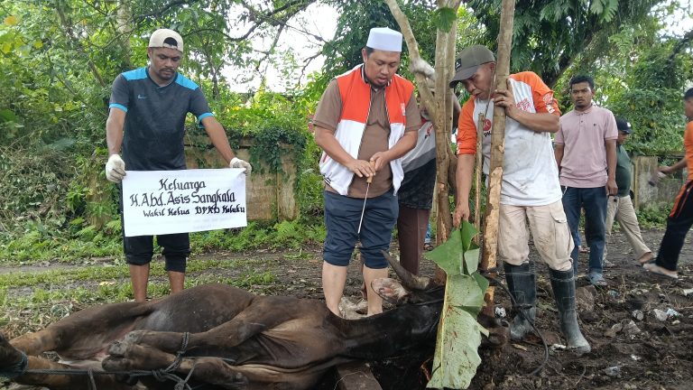 Wakil Ketua DPRD Maluku Azis Sangkala Serahkan 1 Ekor Sapi Untuk DPW PKS
