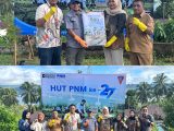 PNM Peduli Lingkungan, Tanam 500 anakan Pohon Bersama DLHP Kota Ambon