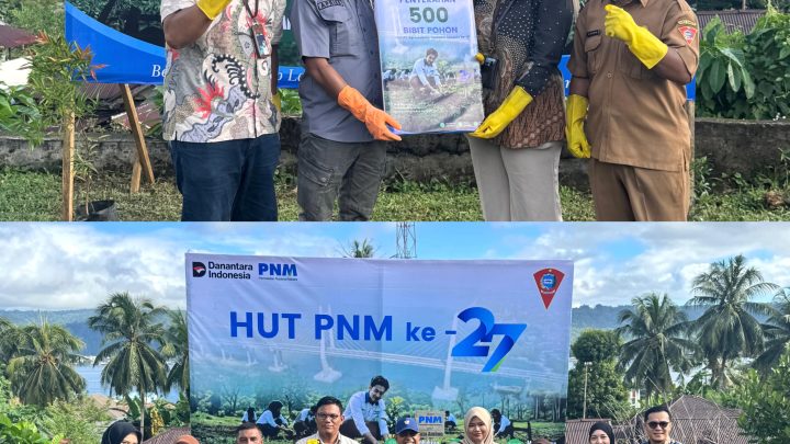 PNM Peduli Lingkungan, Tanam 500 anakan Pohon Bersama DLHP Kota Ambon