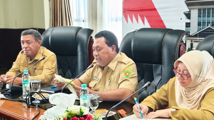Wagub Maluku Dorong Percepatan Pembangunan PLBN Wonreli