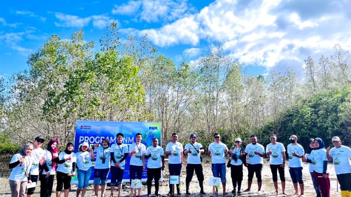 PNM Hadirkan Dampak Berantai bagi Lingkungan dan Ekonomi Pesisir di Hari Mangrove Sedunia