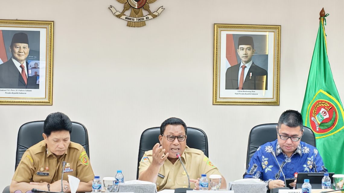 Wagub Maluku Paparkan Inovasi Perluasan Akses Keuangan pada Virtual Assessment TPAKD Award 2026