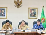 Wagub Maluku Paparkan Inovasi Perluasan Akses Keuangan pada Virtual Assessment TPAKD Award 2026